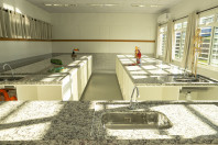 Com aporte de R$ 10 milhões do Estado, escola de Cascavel é inaugurada após reconstrução