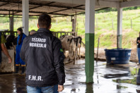 Censo Escolar 2025 aponta Paraná como um dos líderes em educação profissional no País