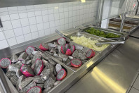 Pitaia amplia alimentação saudável nas escolas e fortalece agricultura familiar