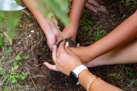 Alunos plantam cinturão verde e avançam na recuperação de rio em São José dos Pinhais