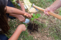Alunos plantam cinturão verde e avançam na recuperação de rio em São José dos Pinhais
