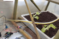 Estudante cria estufa inteligente e planeja ampliar projeto para agricultura familiar
