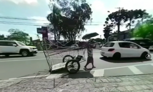 catadora de papel