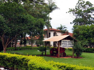 Escola