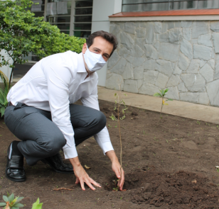 plantando.png