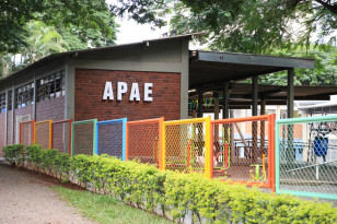 apae educação especial paraná