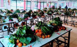 Alimentos