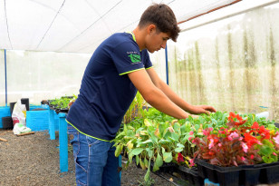 Vinicius Stukowski Camargo, de 17 anos, estuda técnico em Agropecuária no Centro Estadual de Educação Profissional Agrícola de São Mateus do Sul