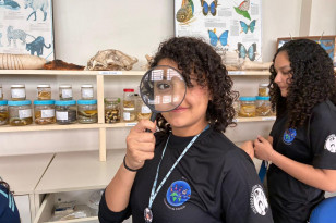 Clubes de ciências transformam a realidade de alunos da rede estadual