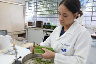 Ciência e pesquisa: projetos da rede estadual do Paraná são destaques na Febrace 2025