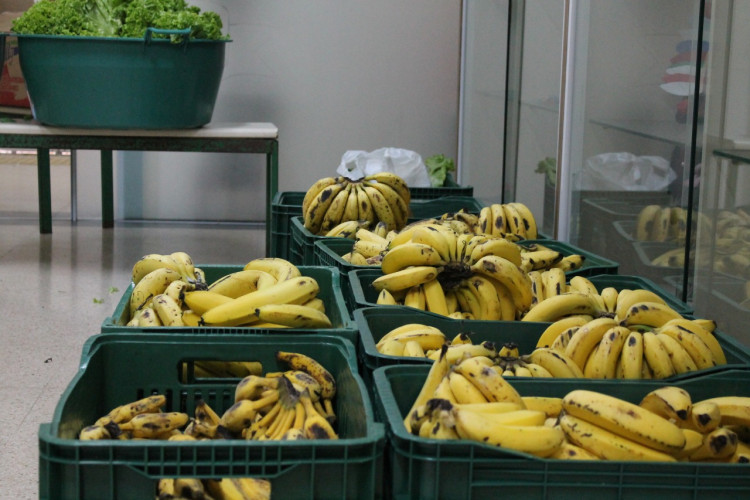 Entrega kits merenda