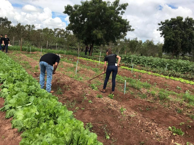 Colégio Agrícola de Umuarama