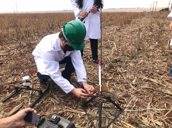 reflorestamento com minifoguetes