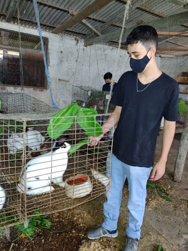 aulas práticas presenciais cursos técnicos educação profissional