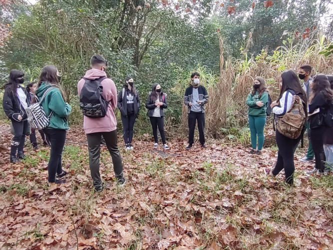 aulas práticas presenciais cursos técnicos educação profissional