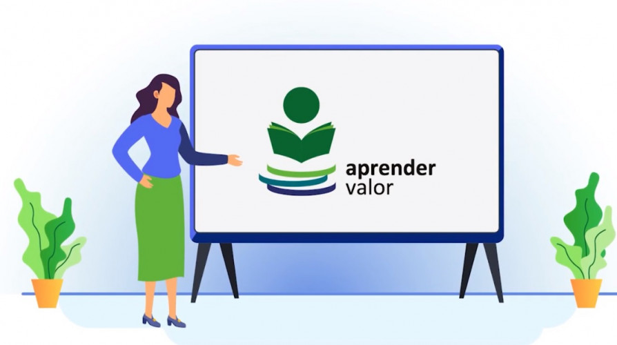 Aprender Valor