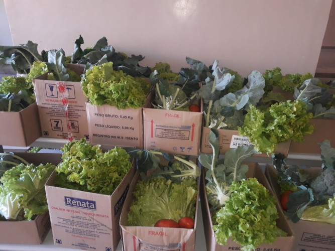 Produtos da agricultura familiar