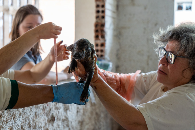 CEEP Newton Freire Maia