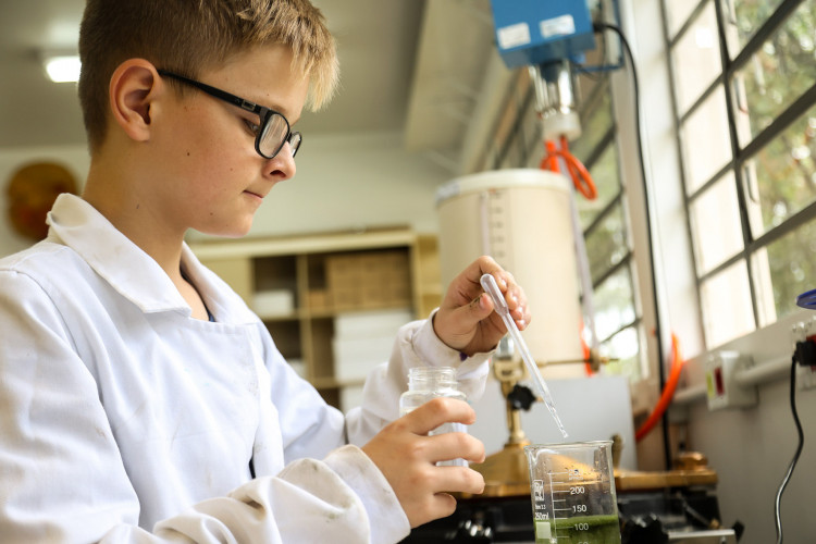 Clube de Ciências de colégio estadual em Toledo transforma alunos em jovens pesquisadores.