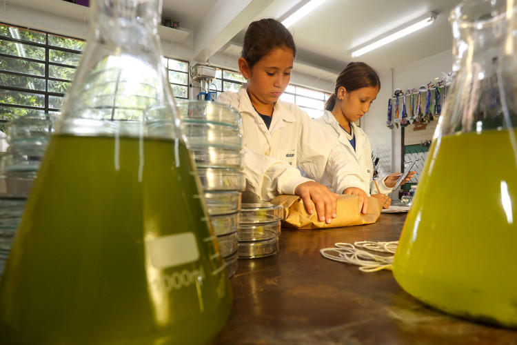 Clube de Ciências de colégio estadual em Toledo transforma alunos em jovens pesquisadores.