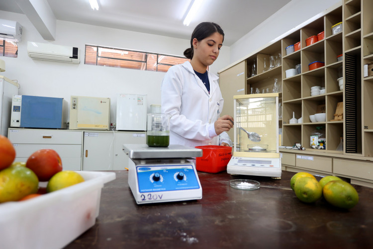 Clube de Ciências de colégio estadual em Toledo transforma alunos em jovens pesquisadores.