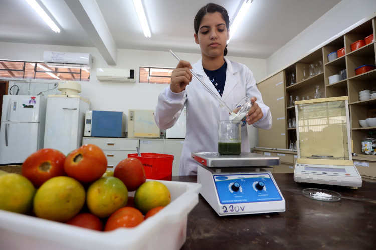 Clube de Ciências de colégio estadual em Toledo transforma alunos em jovens pesquisadores.