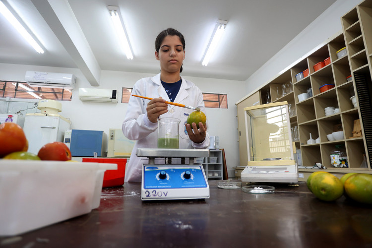 Clube de Ciências de colégio estadual em Toledo transforma alunos em jovens pesquisadores.