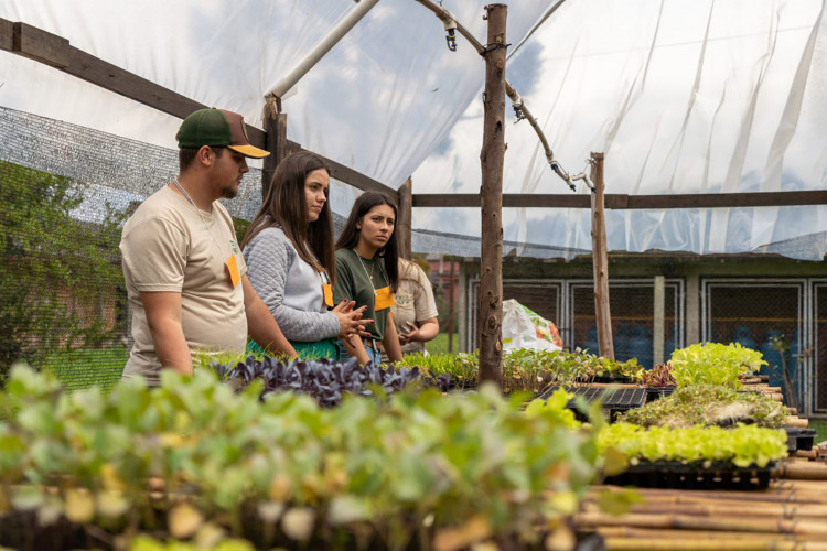 Capacitação é voltada para professores, pedagogos e demais profissionais da educação