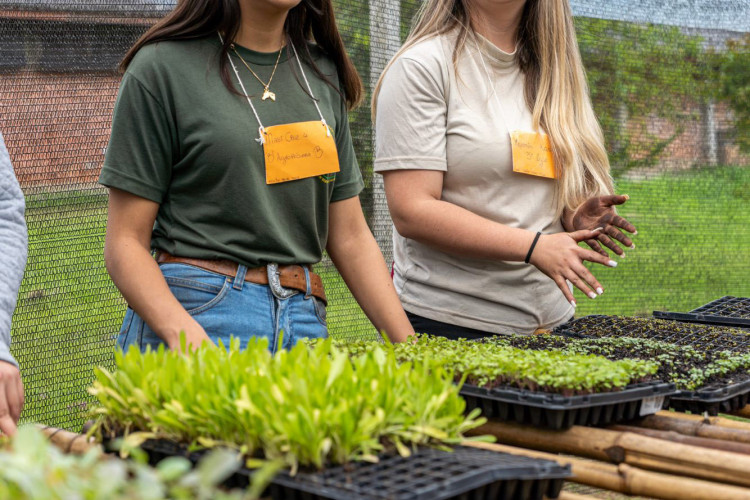 Capacitação é voltada para professores, pedagogos e demais profissionais da educação
