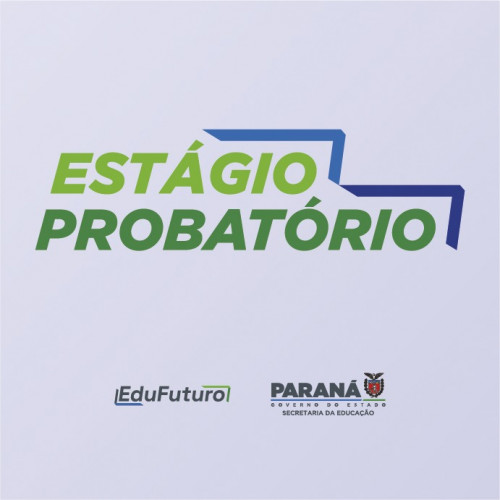A ação visa orientar os novos integrantes do Quadro Próprio do Magistério (QPM) da rede, com objetivo de estruturar e alicerçar os mesmos na prática pedagógica do ensino estadual.