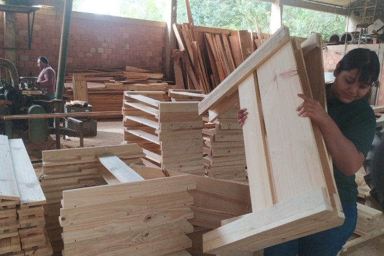 Camas, livros e cartas: estudantes da rede estadual se mobilizam para ajudar o RS