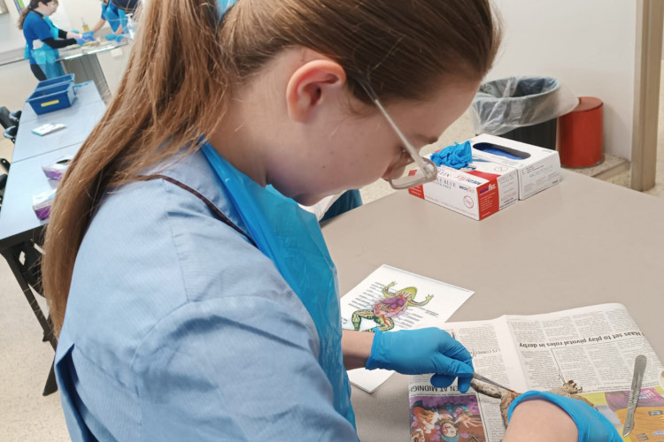 Alunos de 2024 do Ganhando o Mundo começam a retornar com bagagem cheia de aprendizado