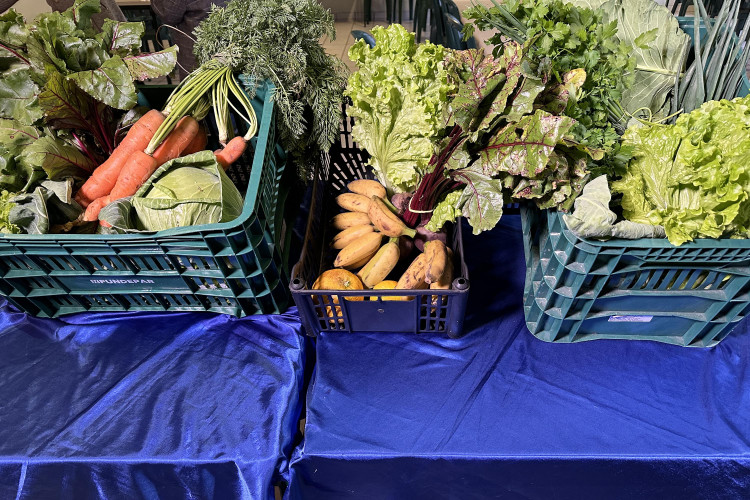 Estado oferece merenda em casa para 800 alunos que não podem ir à escola