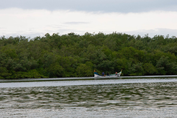 Oficina leva conhecimentos em bioeconomia a comunidades costeiras de Paranaguá