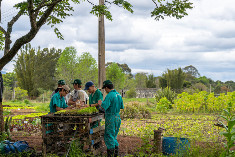 Inscrições para cursos nos CEEPs e colégios agrícolas encerram na sexta-feira