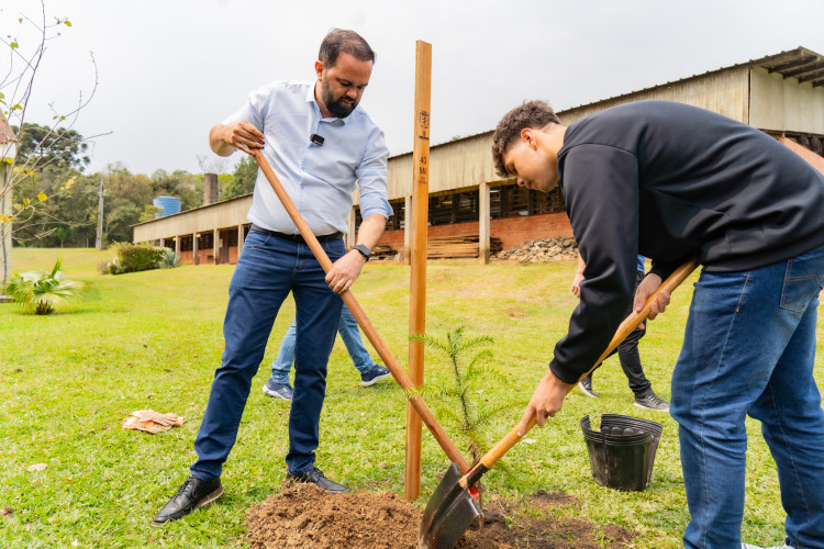 Em Irati, Educação lança projeto para o plantio de 40 mil mudas de árvores nativas