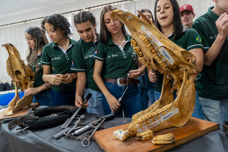 27ª Feira do Colégio Agrícola CEEP Manoel Moreira Pena, de Foz do Iguaçu, evidencia capacitação dos alunos em técnicas agrícolas e tecnologias sustentáveis