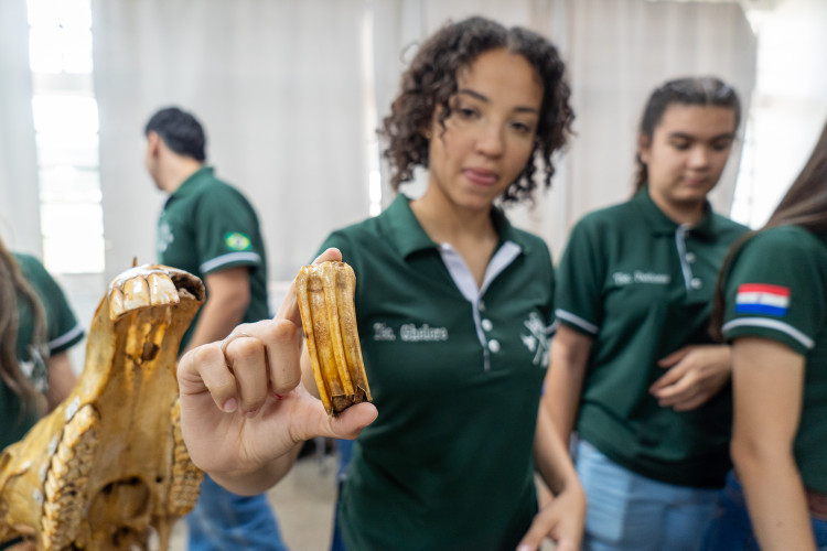 27ª Feira do Colégio Agrícola CEEP Manoel Moreira Pena, de Foz do Iguaçu, evidencia capacitação dos alunos em técnicas agrícolas e tecnologias sustentáveis