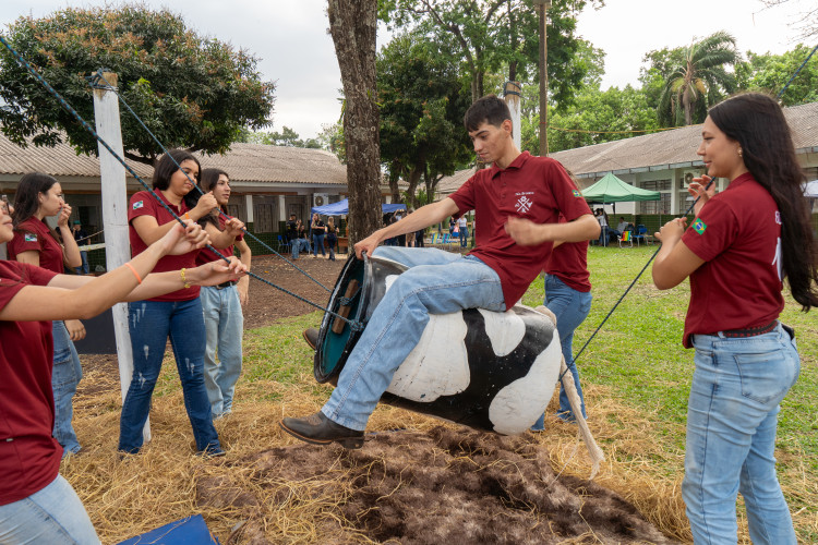 27ª Feira do Colégio Agrícola CEEP Manoel Moreira Pena, de Foz do Iguaçu, evidencia capacitação dos alunos em técnicas agrícolas e tecnologias sustentáveis