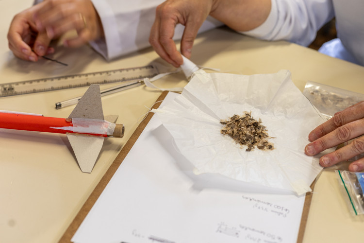 Colégio estadual em Curitiba é exemplo da educação científica que transcende a sala de aula