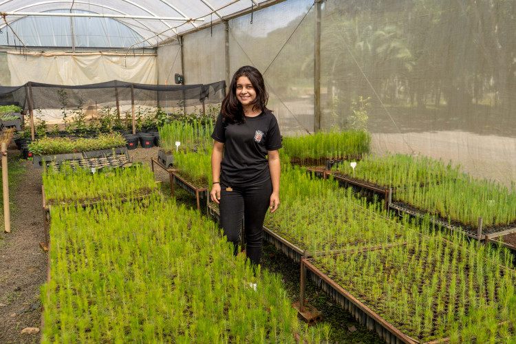 1º do País, Colégio Florestal de Irati alcança capacidade de 1 milhão de mudas por ano