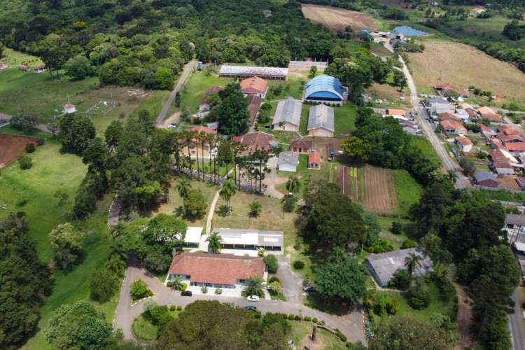 1º do País, Colégio Florestal de Irati alcança capacidade de 1 milhão de mudas por ano