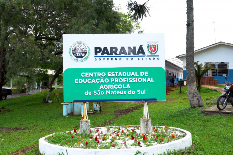 Ganhando o Mundo: de São João do Triunfo para os Estados Unidos.