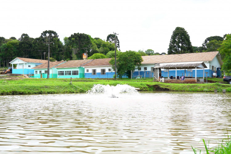 Ganhando o Mundo: de São João do Triunfo para os Estados Unidos.
