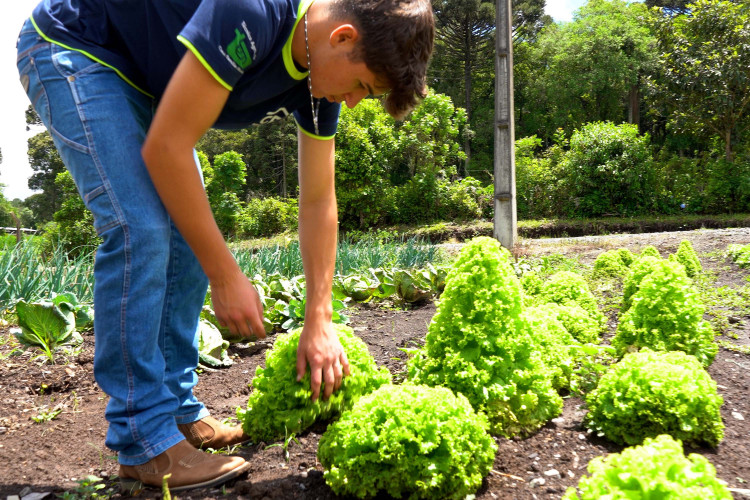 Ganhando o Mundo: de São João do Triunfo para os Estados Unidos.