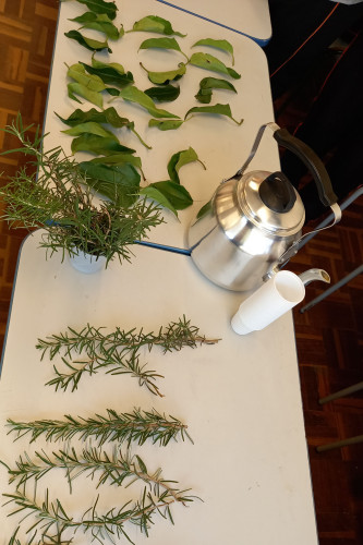 Equidade racial: 23 escolas recebem o Selo ERER Enedina Alves Marques do Governo