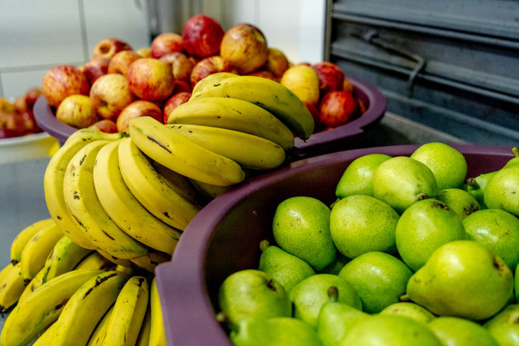 1 em cada 4 alimentos da agricultura familiar destinados às escolas do Paraná são orgânicos