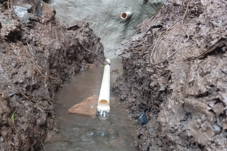 Colégio Agrícola de Palotina lidera projeto que já recuperou mais de 260 nascentes na região