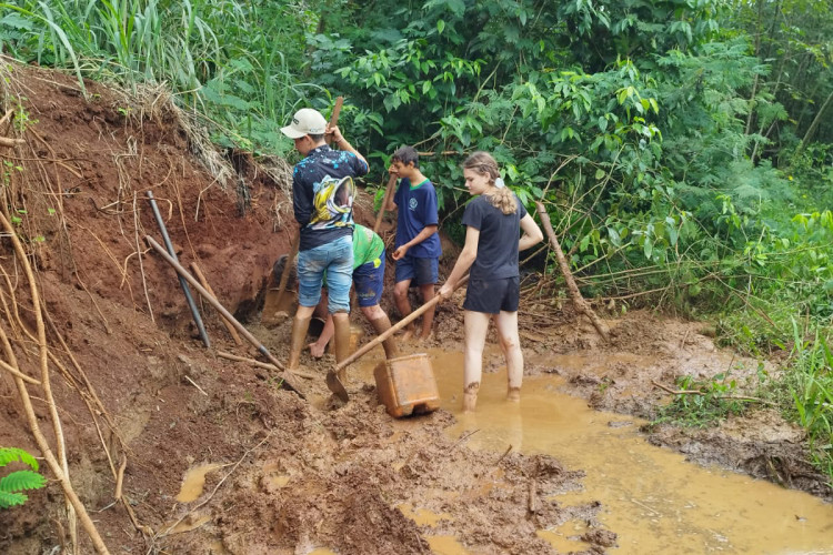 Colégio Agrícola de Palotina lidera projeto que já recuperou mais de 260 nascentes na região