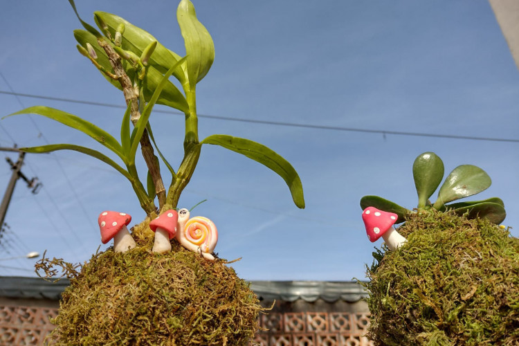 Clube de Ciências revitaliza escola e incentiva empreendedorismo em Colombo